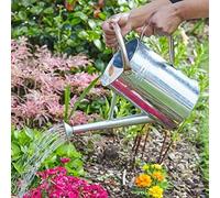 Marco Paul 4.5L Silver Metal Watering Can Marco Paul Silver