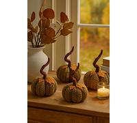 Marco Paul 4Pc Autumn Plush Pumpkin Set - 13Cm