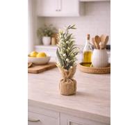 Marco Paul 50cm Mini Decorative Tree in Hessian Bag - Small Tabletop Desk Tree for Festive Home & Office Décor, Realistic Artificial Decoration for Desks, Shelves and Centrepieces