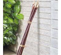 Marco Paul 5pck 1.2m Plant Pot Support Stakes in Brown | Size: 1 Pack Marco Paul Brown 1 Pack