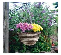 Marco Paul 6 Pack Hanging Basket 12'' Rattan Round Outdoor Garden Planter