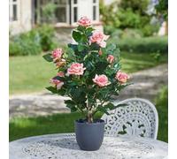 Marco Paul 60Cm Artificial Rose Plant Pink In Pot