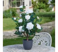Marco Paul 60Cm Artificial Rose Plant White In Plant Pot