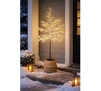 Marco Paul 6ft Pre-Lit Birch Alpine Twig Christmas Tree Snow Covered Xmas Decoration with Warm White LED's Mains Powered Light Up Xmas Decoration for Indoor & Outdoor Home & Garden Display