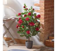 Marco Paul 80Cm Artificial Rose Plant Red In Pot