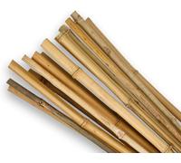 Marco Paul 90Cm 20Pc Bamboo Canes Gardeners Essential Strong Durable And Long Lasting Garden Accessory Plant Support