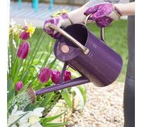 Marco Paul 9L Metal Watering Can - Purple Marco Paul Purple