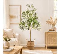 Marco Paul Artificial Olive Tree with Woven Basket 185cm Marco Paul Olive