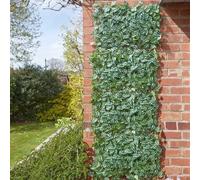 Marco Paul Artificial Watermelon Peperomia Leaf Trellis in Green Marco Paul Green