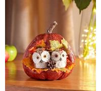 Marco Paul Autumn Pumpkin Decorations with Owl Ornaments and Autumn Leaves - 17cm Pumpkin Home Decor Unique owl ornaments for the home, Autumn Decorations and Halloween Decorations Indoor