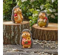 Marco Paul Baby Hoglet Set - 3