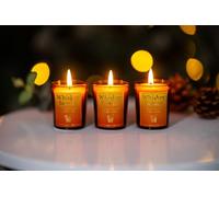 Marco Paul Candle Jars Pots 3 Pack Decorative Scented Candle Set Gift Scent Pack Decorative Home Accessories Relaxing Home Decor (Cocktail Candles, Whisky Samba 3pc)