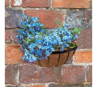 Marco Paul Garden Hanging Flower Basket 16''