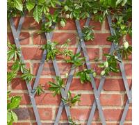 Marco Paul Green 1.8X0.3M Heavy Duty Plant Support Wooden Expanding Trellis