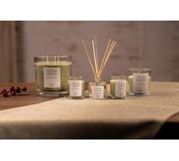 Marco Paul Large Cedarwood Scented Diffuser & Candle Gift Sets Marco Paul Multicolor