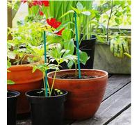 Marco Paul Pack Of 25 Bamboo Plant Supports 60Cm