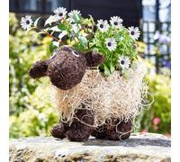 Marco Paul Rattan Sheep Flower Garden Planter