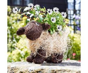 Marco Paul Rattan Sheep Flower Garden Planter