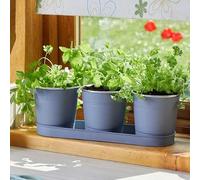 Marco Paul Set of 3 Slate Herb Plant Pots with Drip Tray for Kitchen Windowsill Herb Planters deal for an Indoor Herb Garden, Plants and Flowers Grow Your Own Herbs for cooking