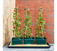 Marco Paul Triple Pack Grow Boxes