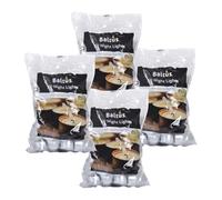 Marco Paul Unscented Tealights White Home Decor 8 Hour Burn Wedding Christmas Night 50 and 20 Packs (200 Pack)