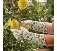 Marco Paul Women's Triple Pack Garden Gloves Cotton Grips in Yellow | Size: Medium Marco Paul Yellow M