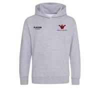 Marco Van Basten Milan Logo Kids Hoodie - Gray / 2-3 years
