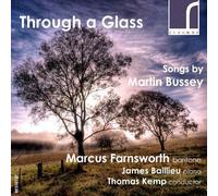 Farnsworth/Baillieu/Kemp - BUSSEY:THROUGH A GLASS