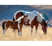 Mare and Her Foal
