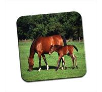 Mare with Foal Horse Single Coaster