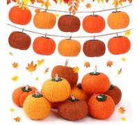 MARFOREVER Autumn Felt Pumpkin Garland, 10 Pcs Thanksgiving Pumpkins Farmhouse Hanging Decorations Halloween Orange Yellow Brown Pumpkin Set for Fall Party Indoor Outdoor Decorations