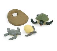 Marhynchus Animal Life Cycle Model Toy Kids Learning Toy Children Educational Toy with 2 Types Chick Tortoise Life Cycle for Early Childhood Education (growth cycle)