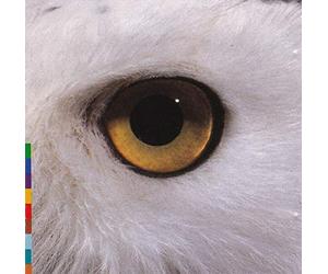 Mari Boine Persen - Gula Gula