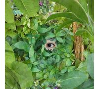 Mari Sekine - Beginning (Feat. Lena Willikens) [12" VINYL]