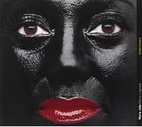 Maria Joao & Laginha, Mario - Undercovers