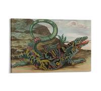 Maria Sibylla Merian - Lizard from Poster Home Decor Poster Wall Art Hanging Picture Print Decorative Painting Posters 08x12inch(20x30cm)