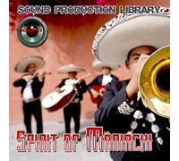 Mariachi. Spirit of Mariachi - Large unique WAVEs/Kontakt Studio Samples/Loops Library