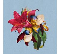Maribou State - Feel Good (Feat. Khruangbin) [VINYL]