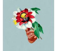 Maribou State Kingdoms in Colour (CD) Album (US IMPORT)