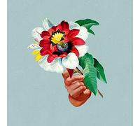 Maribou State - Kingdoms in Colour (Vinyl Color) [VINYL]