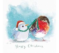 Marie Curie Charity Fluffy Robin Duo Christmas Cards, Two Designs, 14 x 14 cm, Pack of 10 with Envelopes