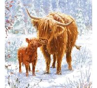 Marie Curie Charity Highland Cow Christmas Cards Pack of 10 with Envelopes 14x14cm FSC Board Made in UK