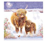 Marie Curie Charity Highland Cows & Robin Christmas Cards, 14x14cm, 10 Pack with Envelopes, Animals
