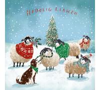 Marie Curie Charity Welsh Language Winter Woolies Sheep Christmas Cards, 14 x 14 cm, Pack of 10 with Envelopes, Nadolig Llawen Greeting