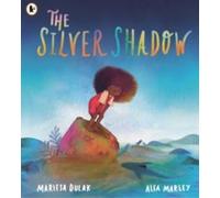 Mariesa Dulak Silver Shadow Paperback Book Mariesa Dulak Multicolor