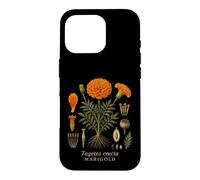 Marigold Botanical Anatomy Vintage Floral Nature Study Case for iPhone 16 Pro