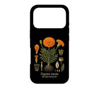 Marigold Botanical Anatomy Vintage Floral Nature Study Case for iPhone 17 Pro