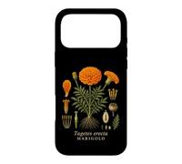 Marigold Botanical Anatomy Vintage Floral Nature Study Case for iPhone 17 Pro Max