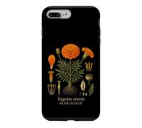 Marigold Botanical Anatomy Vintage Floral Nature Study Case for iPhone 7 Plus/8 Plus