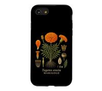 Marigold Botanical Anatomy Vintage Floral Nature Study Case for iPhone SE (2020) / 7/8